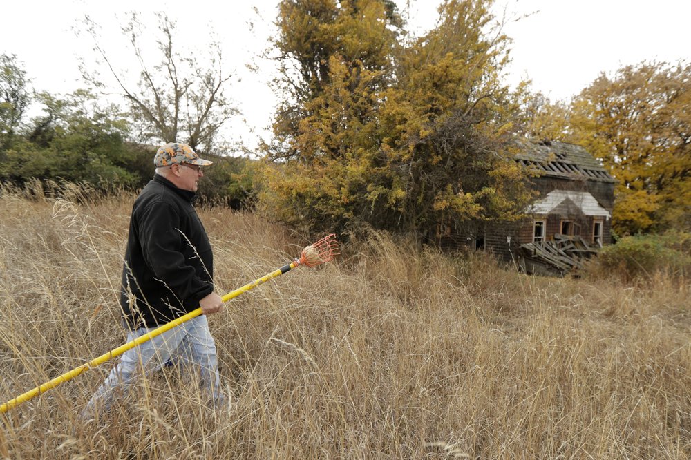 Amateur botanist David Benscoter, of the Lost Apple Project collecting apples in an orchard near Pullman, Wash.