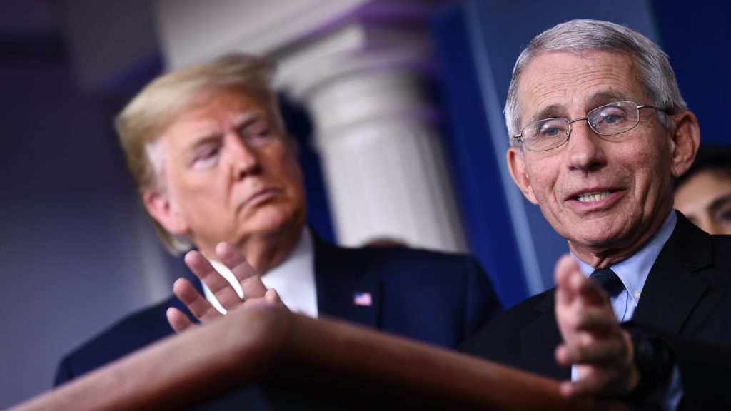 Dr. Anthony Fauci, a member of President Trump's coronavirus task force, directs the National Institute of Allergy and Infectious Diseases, which had convened the panel of experts. Brendan Smialowski/AFP via Getty Images