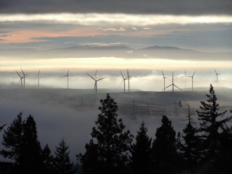 Windmills at wind farm in Kittitas County