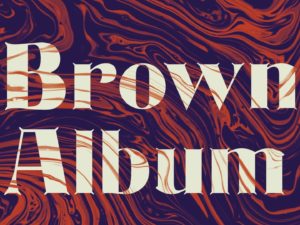 Brown Album Essays on Exile and Identity by Porochista Khakpour