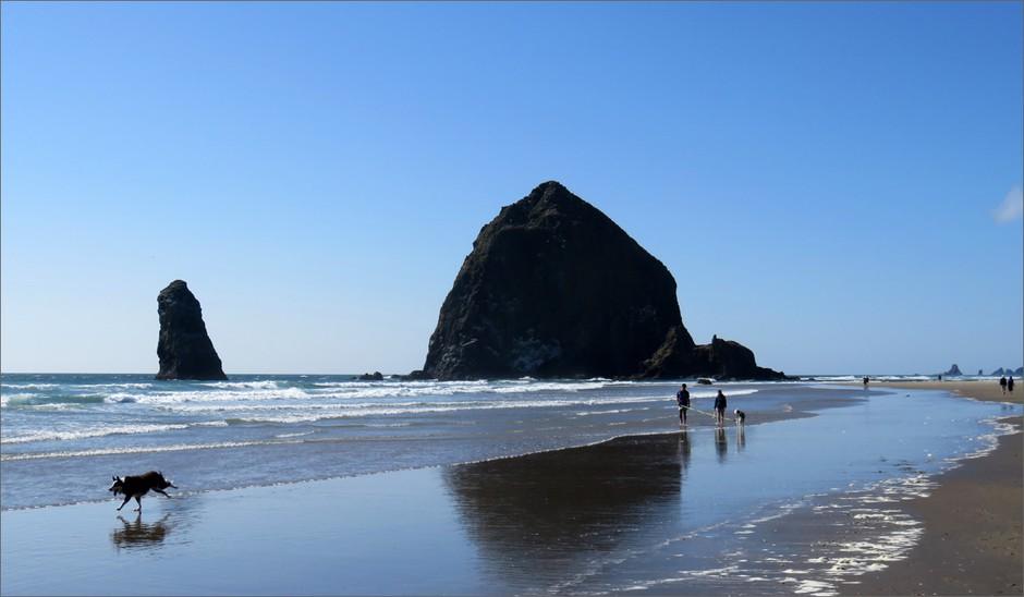 Haystack Rock at Cannon Beach is among the most photogenic attractions of the Oregon coast. The town, beach and nearby Ecola State Park are big tourist draws.