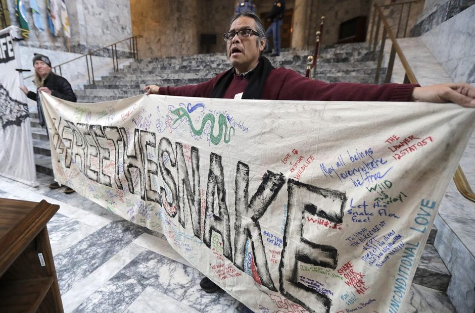 Elliott Moffett, a member of the Nez Perce Indian tribe, holds a sign that reads Free The Snake as he takes part in a rally organized by a coalition of environmental and tribal groups to promote the breaching of dams on the Snake River and other measures intended to benefit salmon and orcas. CREDIT: Ted S. Warren/AP