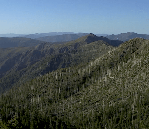 Beyond the borders of the Kalmiopsis Wilderness are as much as 200,000 acres of undeveloped forest.