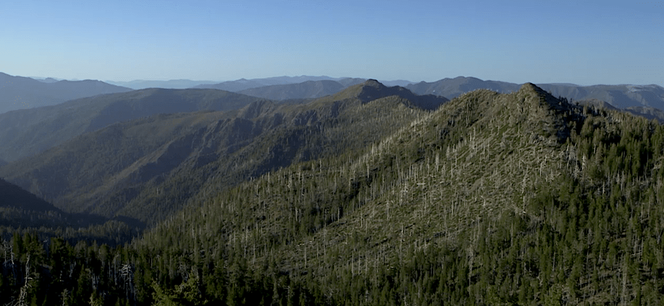 Beyond the borders of the Kalmiopsis Wilderness are as much as 200,000 acres of undeveloped forest.