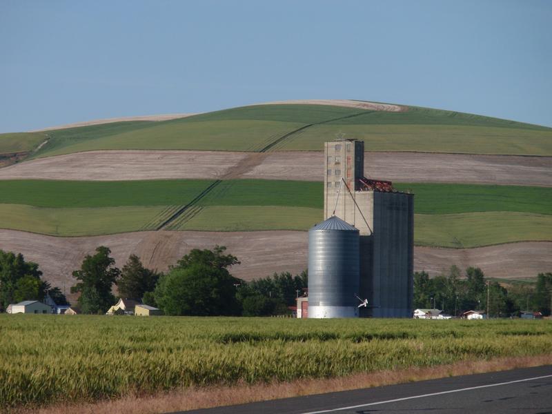 Thinly populated, rural counties in Washington -- such as Columbia County, seen here -- are in the vanguard of the state reopening process, but the final stage appears to be delayed. CREDIT: Tom Banse/N3