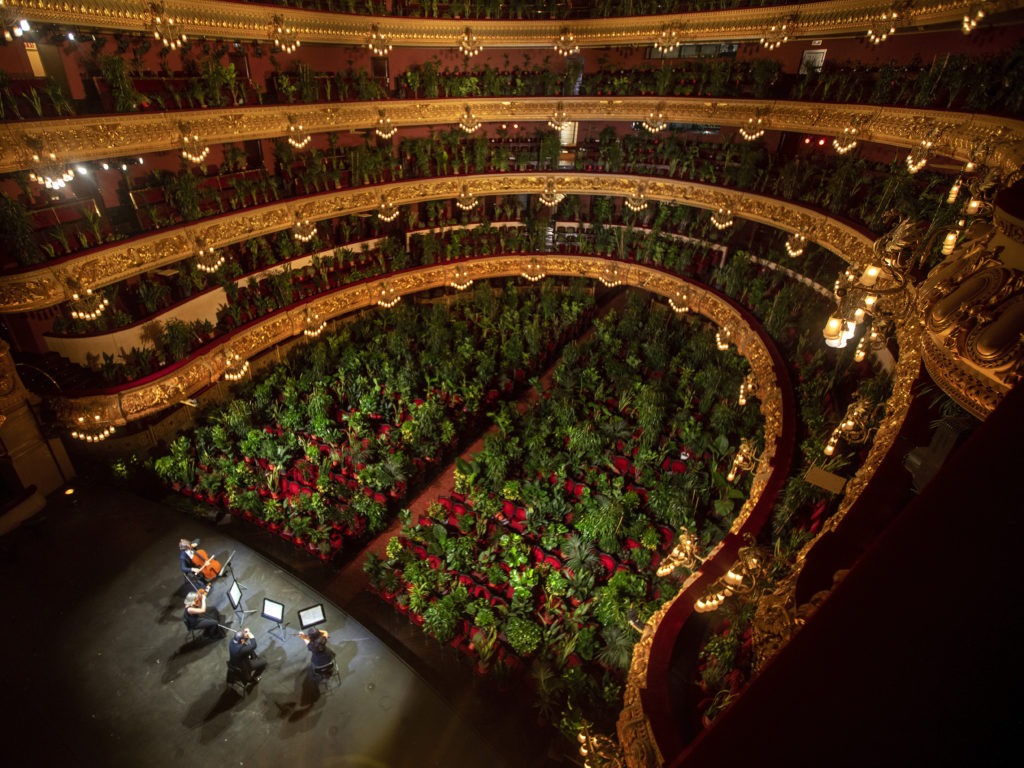 The Gran Teatre del Liceu in Barcelona filled its nearly 2,300 seats with plants for a June 22 concert, which was also broadcast online. CREDIT: Emilio Morenatti/AP