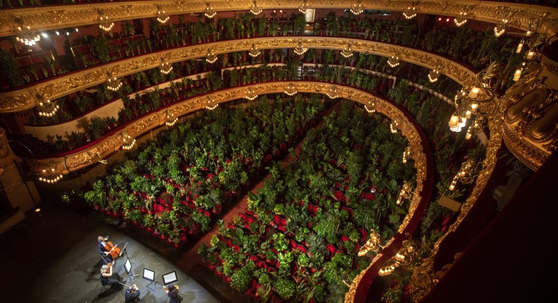 The Gran Teatre del Liceu in Barcelona filled its nearly 2,300 seats with plants for a June 22 concert, which was also broadcast online. CREDIT: Emilio Morenatti/AP