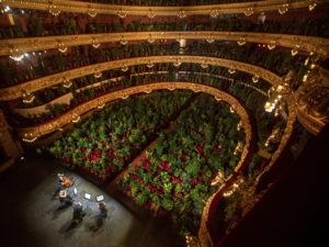 The Gran Teatre del Liceu in Barcelona filled its nearly 2,300 seats with plants for a June 22 concert, which was also broadcast online. CREDIT: Emilio Morenatti/AP