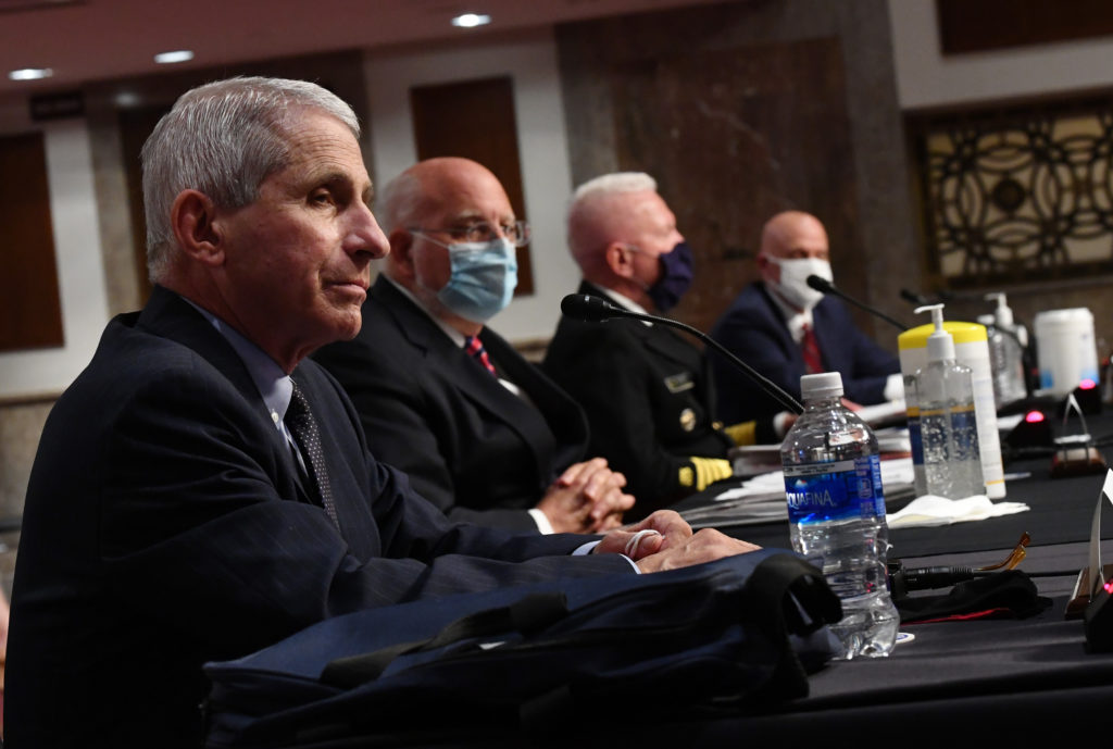 Dr. Anthony Fauci testifies before the Senate alongside public health officials and members of the White House coronavirus task force on June 30, 2020. CREDIT: KEVIN DIETSCH//AFP via Getty Images