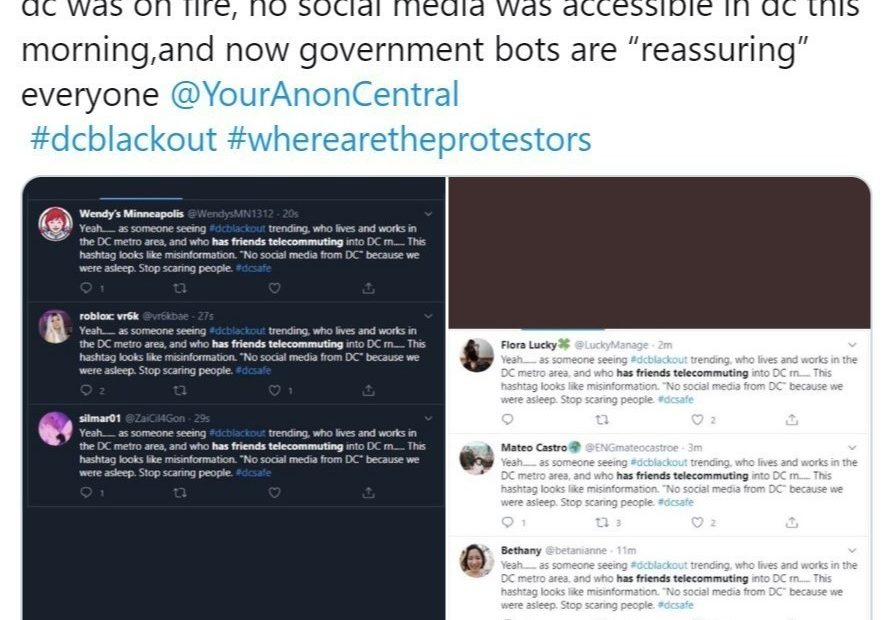 A fake story began circulating online before it was disputed by journalists as well as a number of bots. Experts say the campaign may have been intended to make people question whether anything they see online is true.