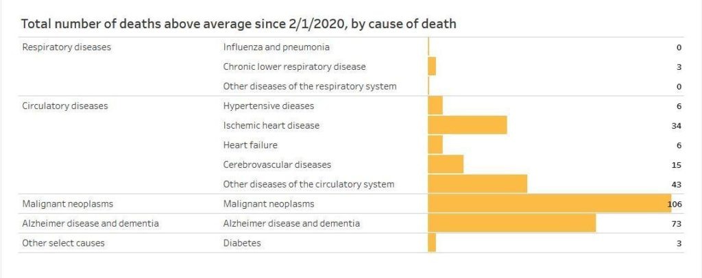 Certain non-COVID causes of deaths showed unusual increases during the first four months of the pandemic in Idaho.