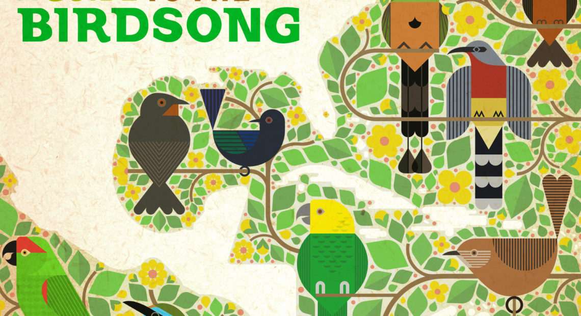 Ten artists from Mexico, Central America and the Caribbean recorded tracks using birdsong from their country, with all profits of the vinyl and digital release going to bird conservation projects. Courtesy of the artist