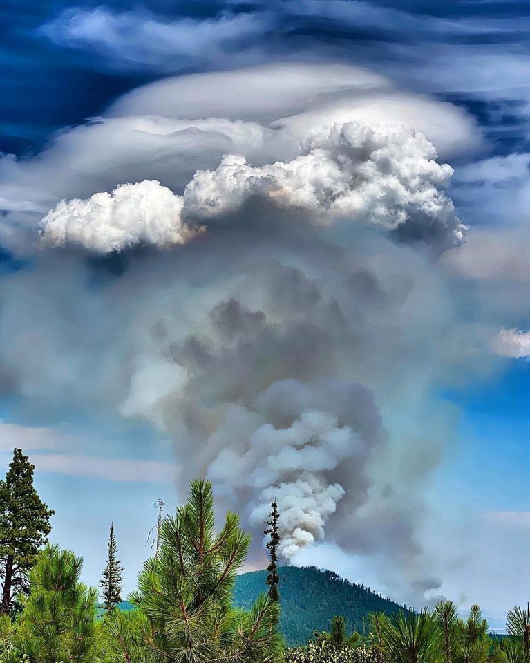 The P-515 Fire burns on the Warm Springs Reservation on Aug. 21, 2020, approximately 14 miles west of the Warm Springs community. CREDIT: InciWeb