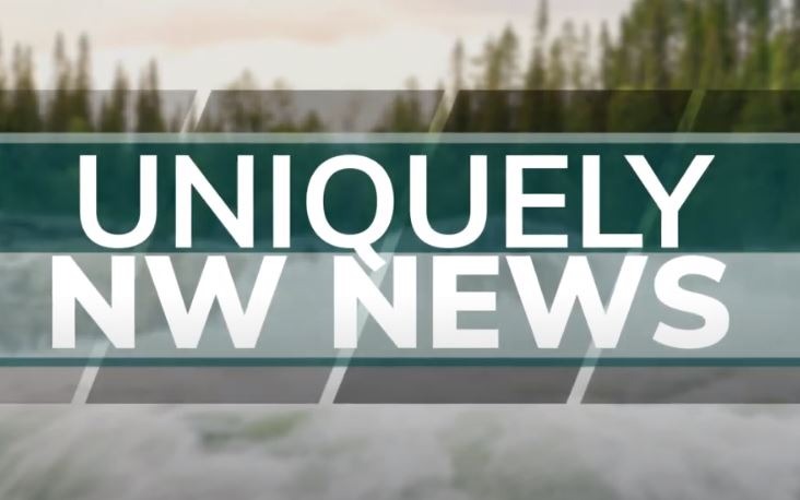 Uniquely NW News logo - graphic for web and TV