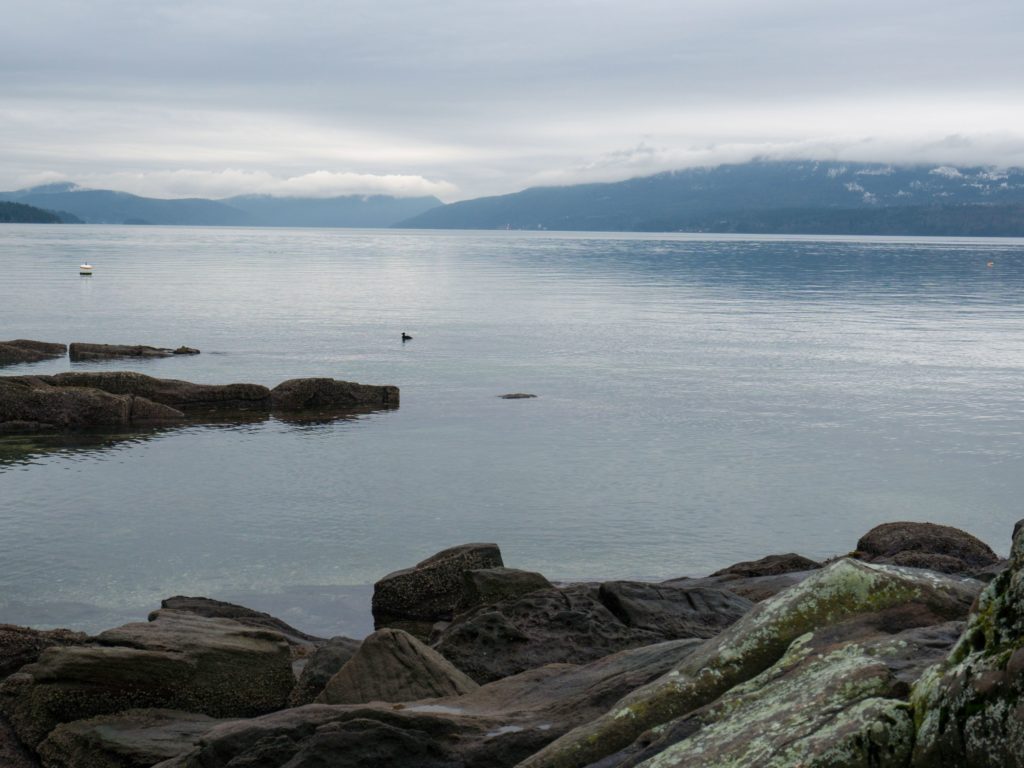 View of the waterfront from Vancouver Island, British Columbia, Canada on January 20, 2020. The number of American pleasure craft arriving from Washington state has alarmed Canadians living just across the border. CREDIT: Mark Goodnow/AFP via Getty Images
