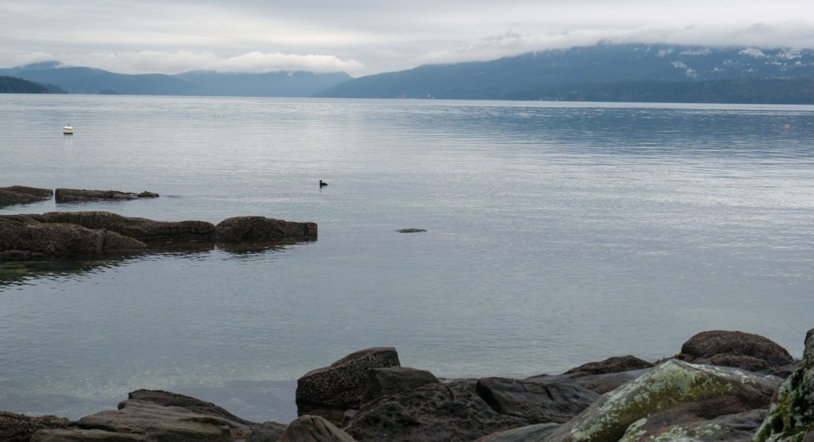 View of the waterfront from Vancouver Island, British Columbia, Canada on January 20, 2020. The number of American pleasure craft arriving from Washington state has alarmed Canadians living just across the border. CREDIT: Mark Goodnow/AFP via Getty Images