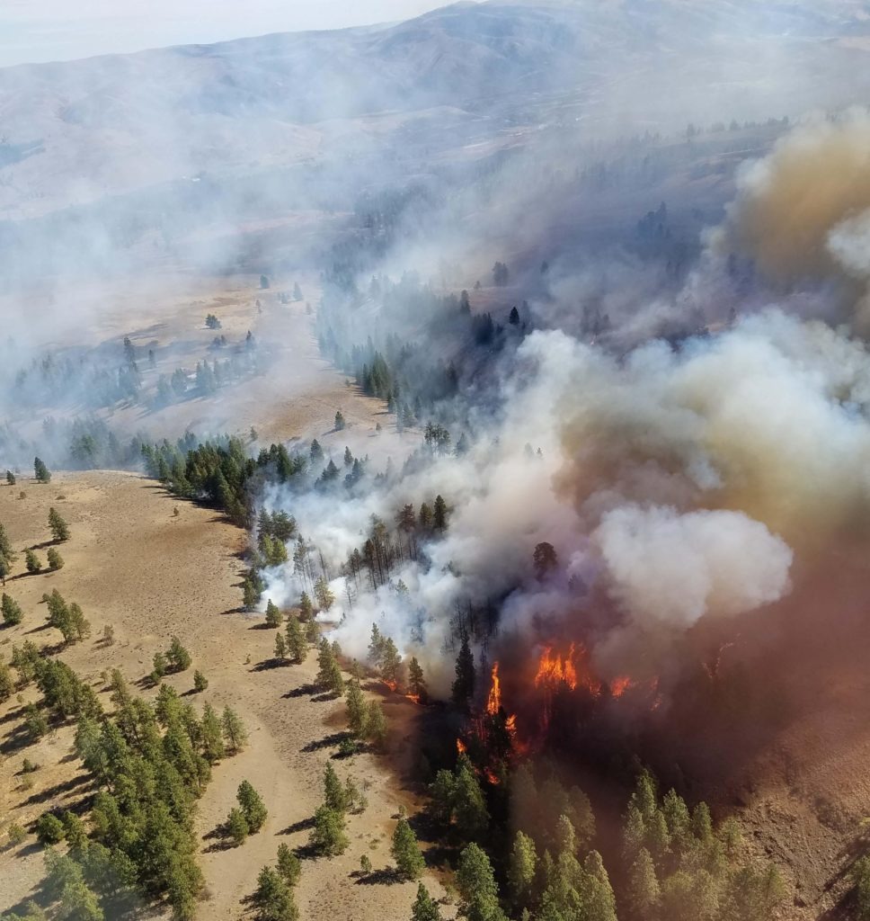 The Evans Canyon Fire burns in light timber and grasslands in Kittitas and Yakima counties, Sept. 2, 2020. It started Monday, Aug. 31, near Naches, and quickly spread northeast toward the Yakima River Canyon and Kittitas Valley. CREDIT: InciWeb
