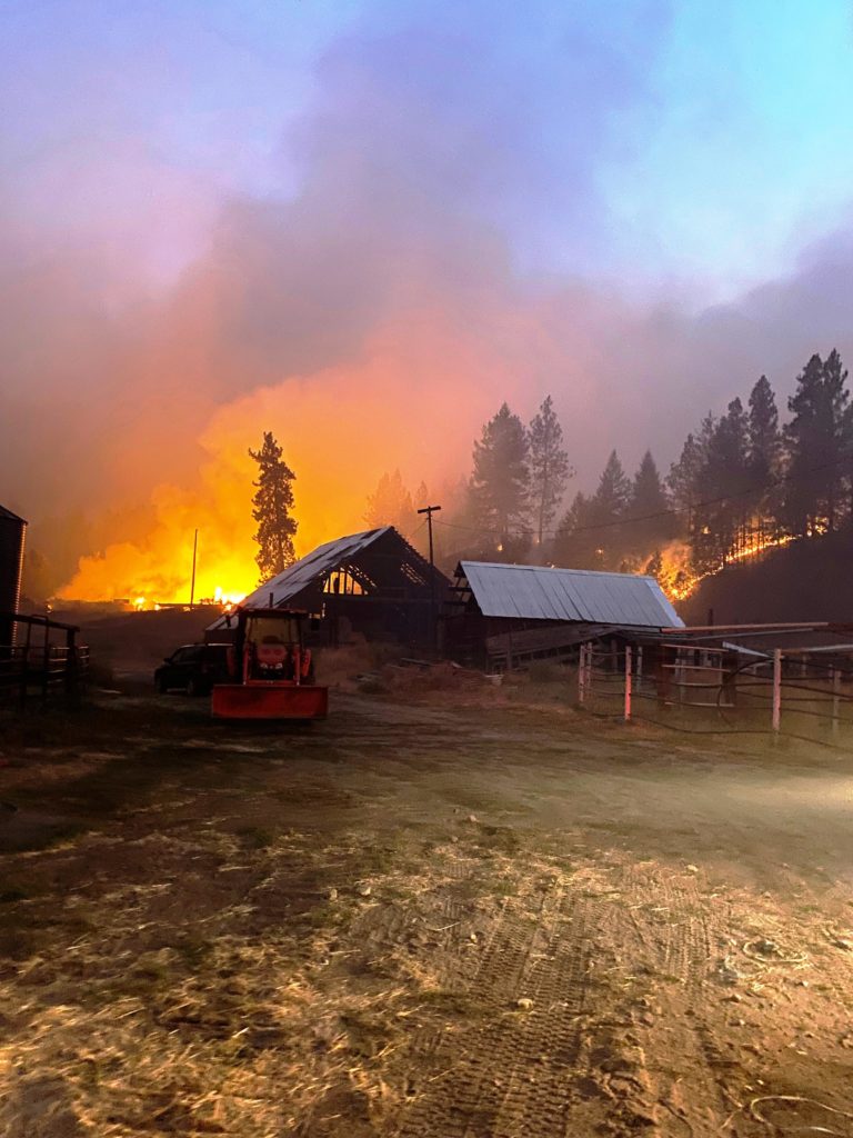 The Inchelium Complex, comprised of three smaller fires, is burning in timber and grasslands on the eastern side of the reservation of the Colville Confederated Tribes, shown here on Sept. 12, 2020. CREDIT: InciWeb