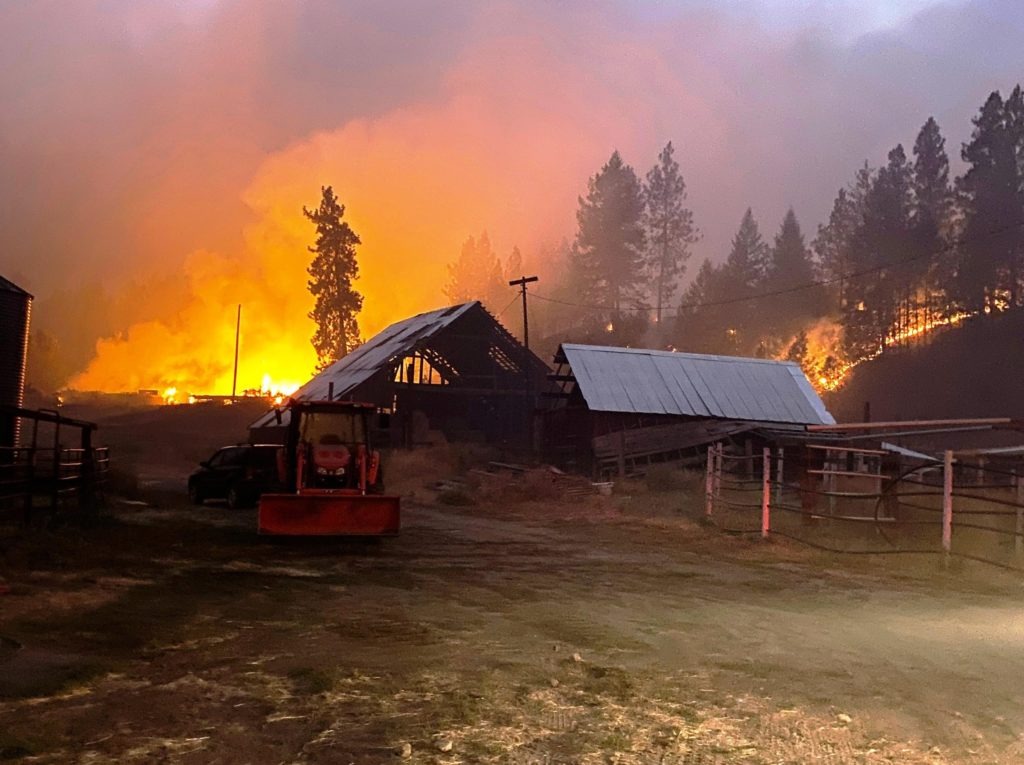The Inchelium Complex, comprised of three smaller fires, is burning in timber and grasslands on the eastern side of the reservation of the Colville Confederated Tribes, shown here on Sept. 12, 2020. CREDIT: InciWeb