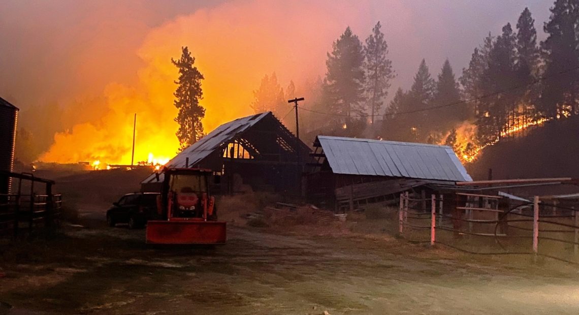 The Inchelium Complex, comprised of three smaller fires, is burning in timber and grasslands on the eastern side of the reservation of the Colville Confederated Tribes, shown here on Sept. 12, 2020. CREDIT: InciWeb