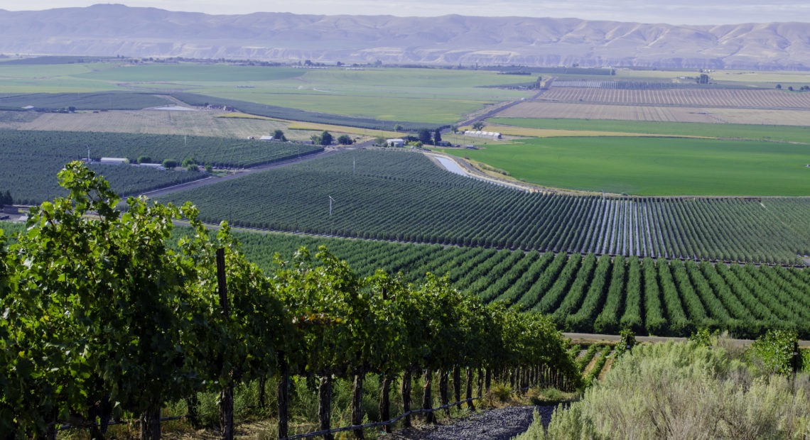 The new Royal Slope American Viticultural Area is around 156,000 acres, north of the Tri-Cities