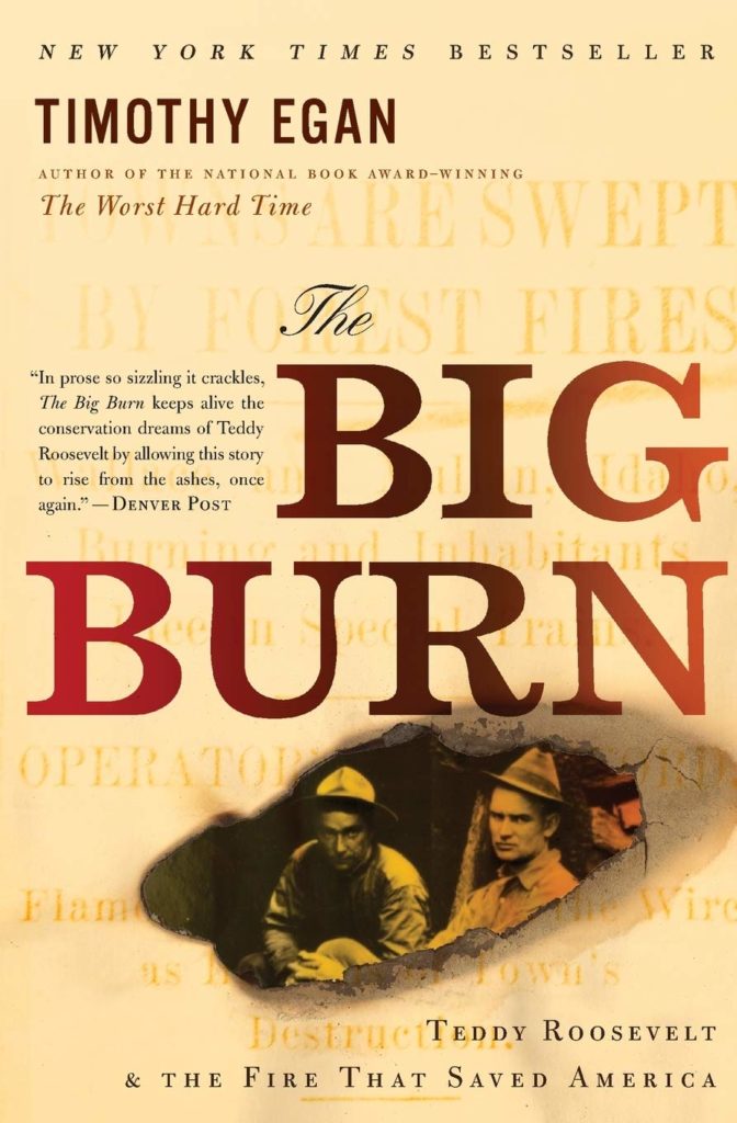 The Big Burn by Timothy Egan documents the causes and aftermath of the great Northwestern fires of 1910.