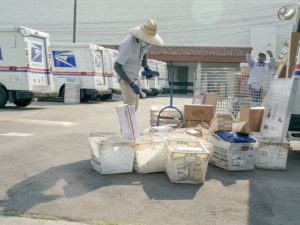 Postal workers sort, load and deliver mail at a U.S. Postal Service location last month in Los Angeles. CREDIT: Kyle Grillot/AFP via Getty Images