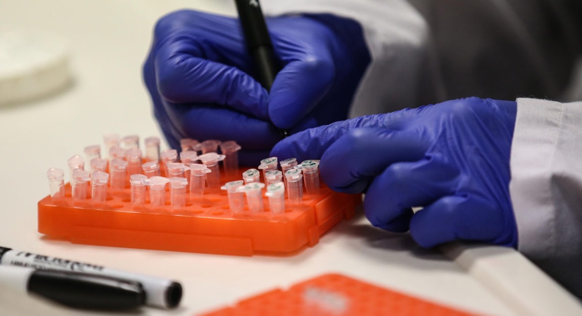 A scientist at work on a COVID-19 vaccine candidate at Bogazici University in Istanbul in August. Onur Coban/Anadolu Agency via Getty Images