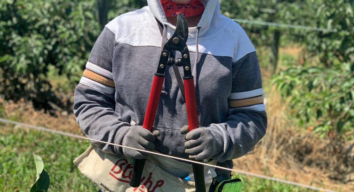 WA orchard worker