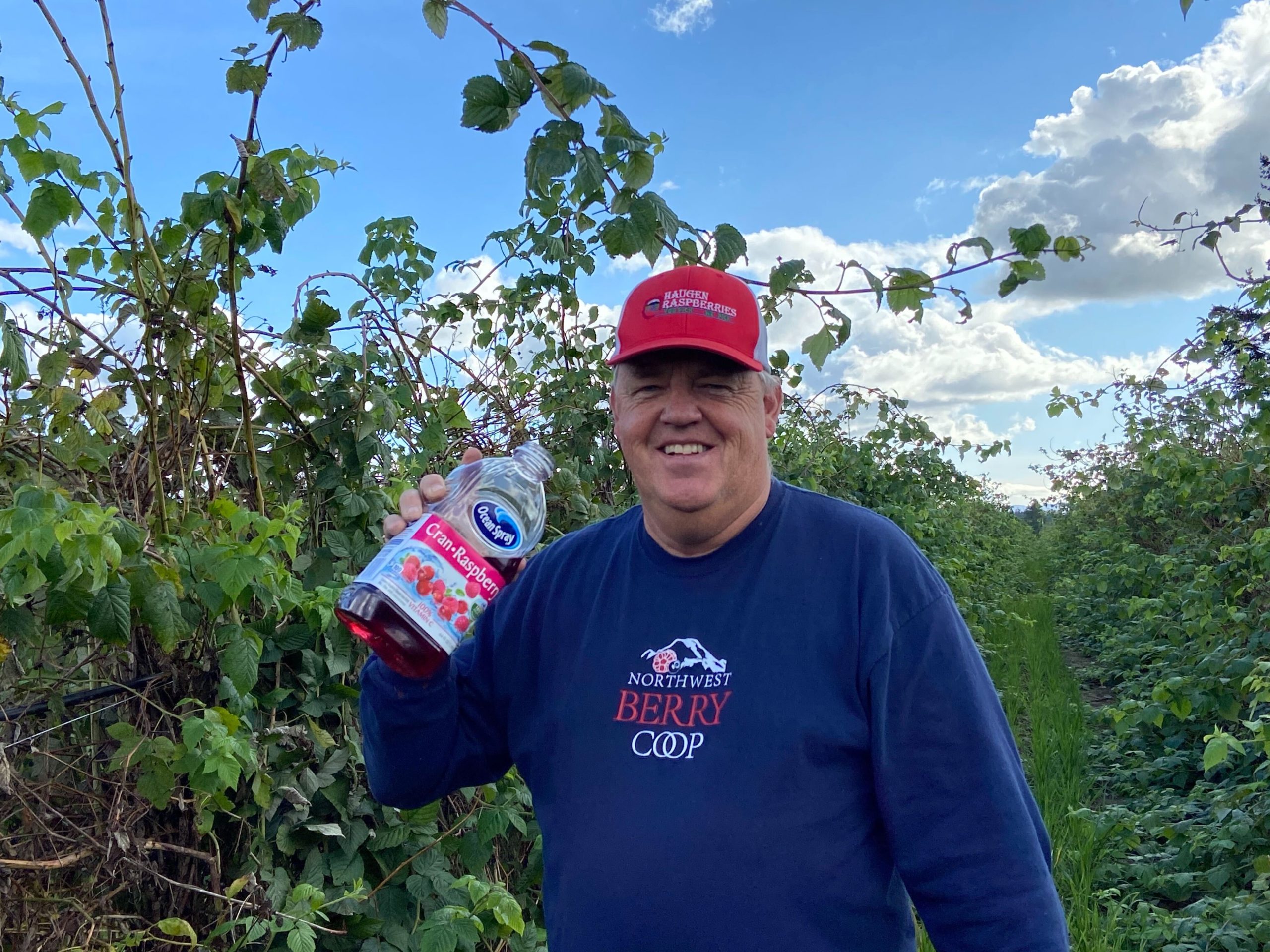 Rolf Haugen, a raspberry grower in Lynden, Washington, decided to get into the spirit of the viral TikTok video and take a picture with a jug of juice in his berry fields.