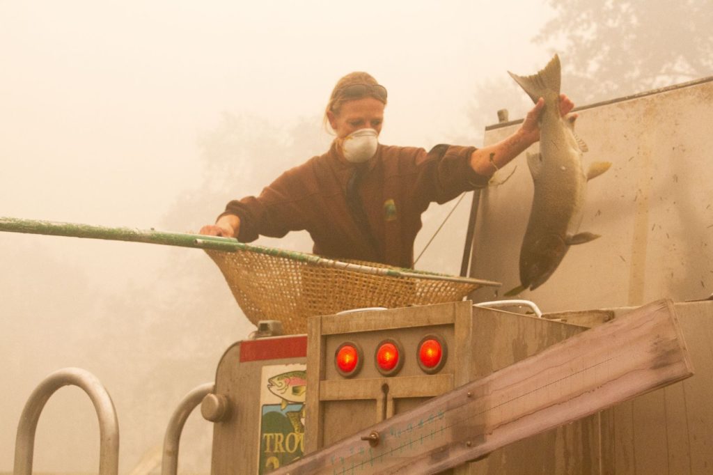 Drew Eubanks launches 'Heart for Oregon' campaign for Oregon Food Bank  during widlfires