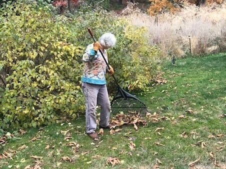 Cynthia Hurlbutt, outside of Walla Walla, raked about an acre of leaves since the election out of anxiety. She says she's also been sleeping a lot.