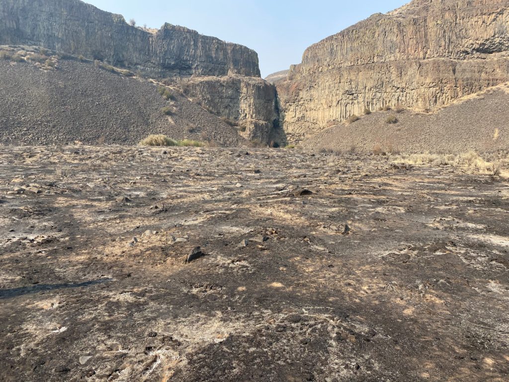The Moses Coulee Preserve, managed by The Nature Conservancy, burned in the Pearl Hill Fire that began on Labor 2020 in north-central Washington. Courtesy of The Nature Conservancy