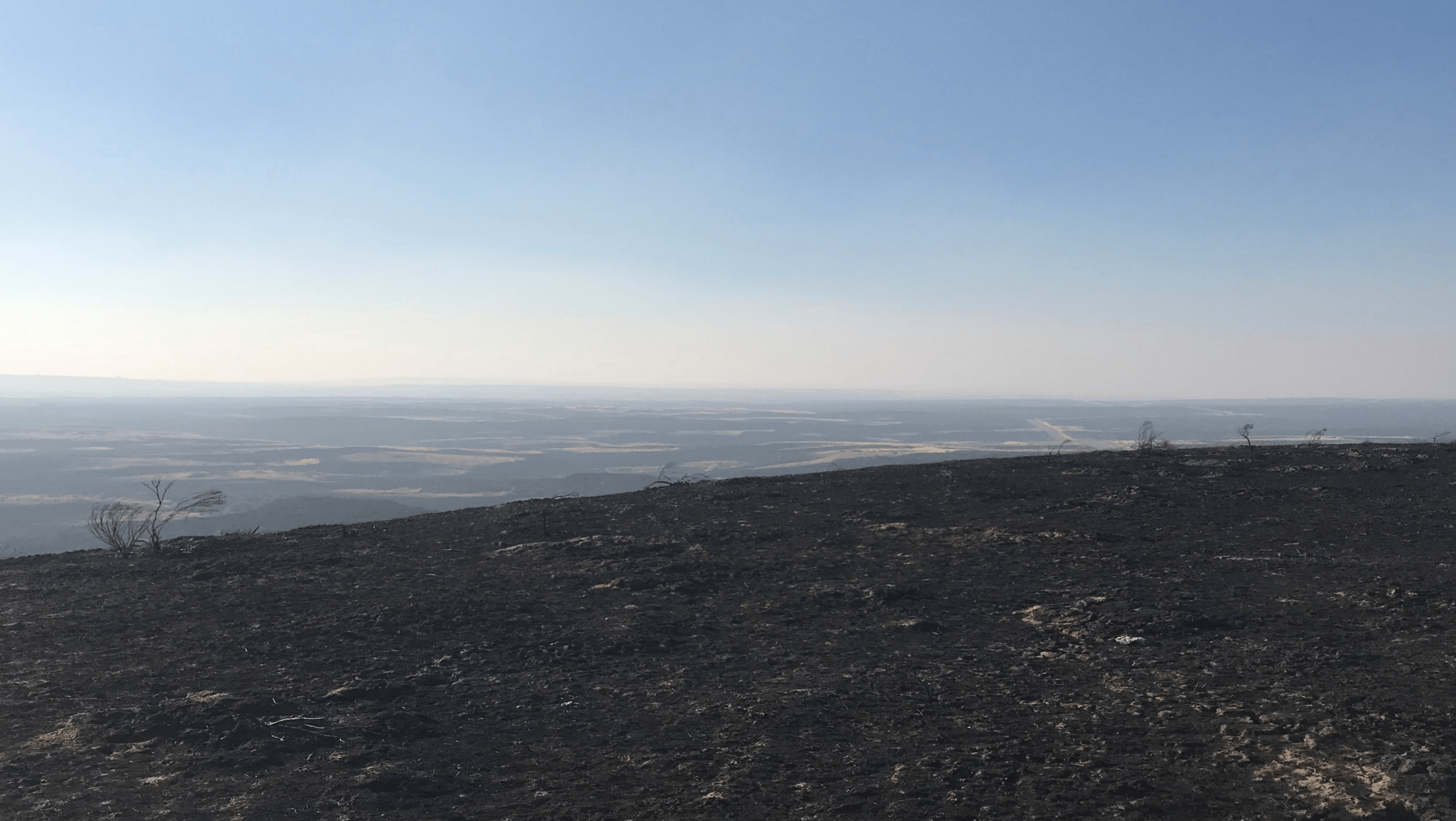 The Whitey fire burned so hot through the Swanson Lakes Wildlife Area in eastern Washington’s Channeled Scablands that it ignited power poles. Most of the area was severely burned. Courtesy of Kurt Merg