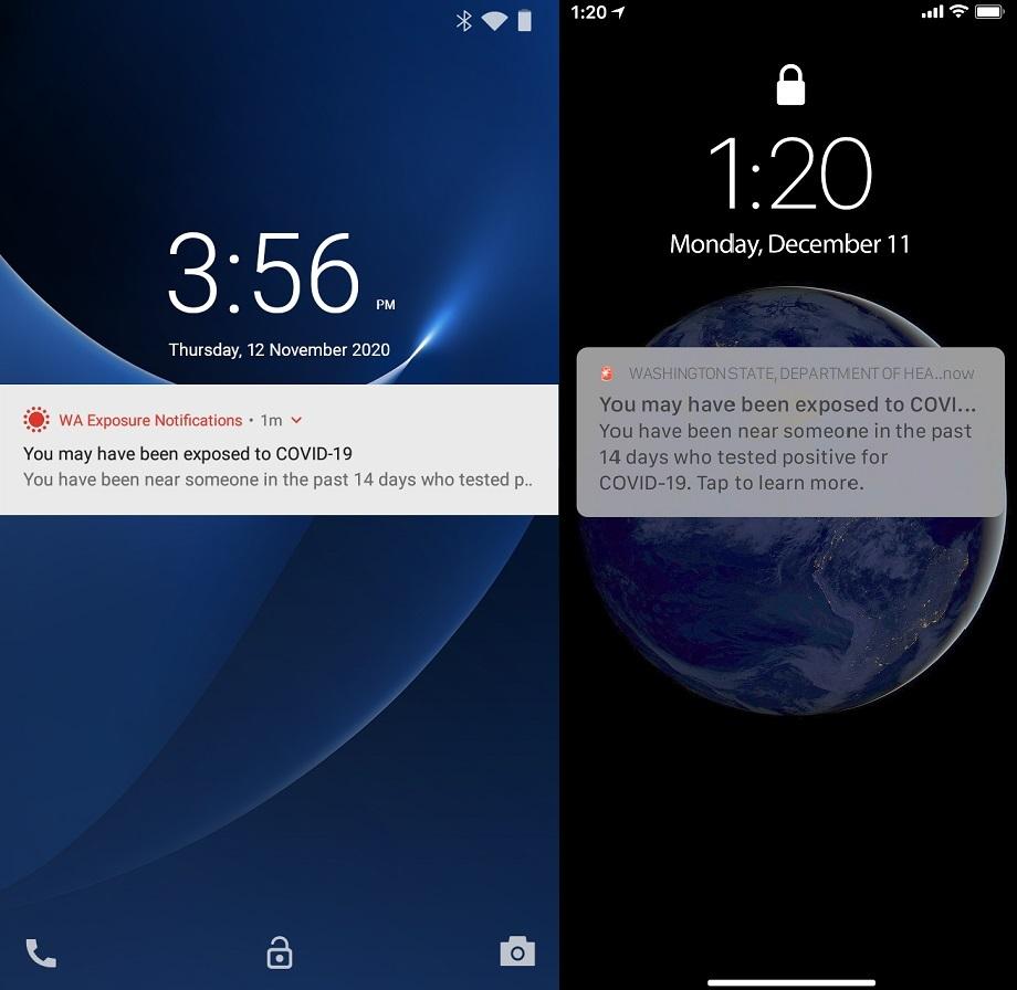 Screenshots of how COVID-19 exposure alerts will look on an Android phone, left, and on iPhone, right.
