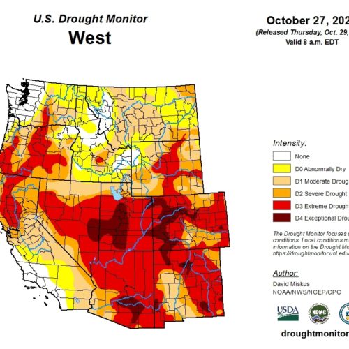 Drought conditions in the U.S. West, particularly parts of the Northwest, could be eased by an expected 2020-21 La La Niña winter. CREDIT: U.S. Drought Monitor