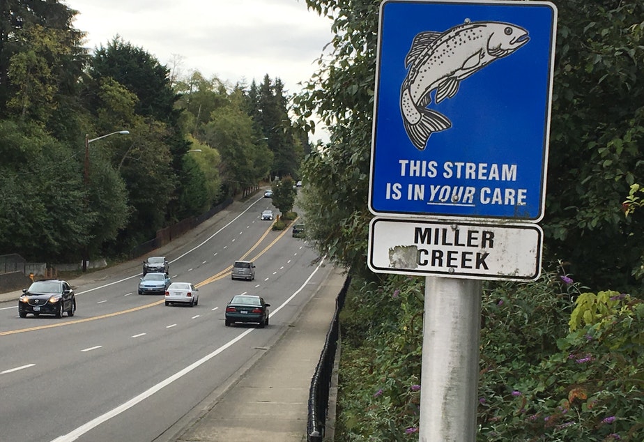 First Avenue South in Normandy Park, Washington, with a salmon and creek protection sign