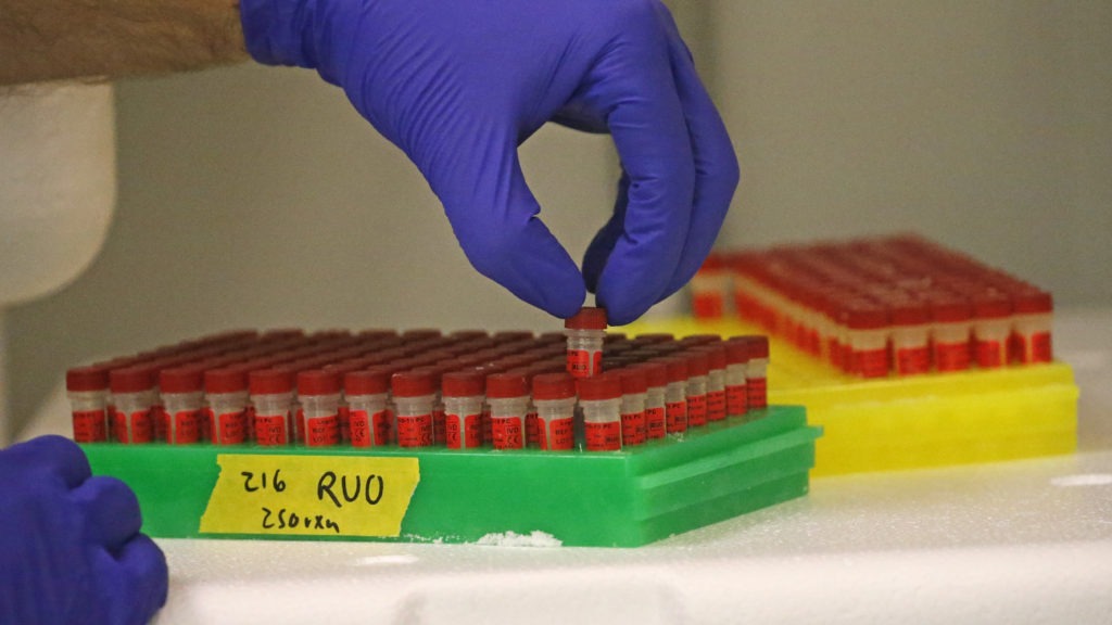 A lab technician for the company Co-Diagnostics prepares components for a coronavirus test. The company has come under scrutiny regarding its tests' accuracy and stock sales by leadership at the company. Rick Bowmer/AP