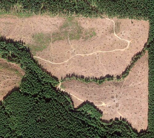 An aerial view of clear-cuts near the south fork of Gordon Creek, one of two water sources for Corbett, Oregon. CREDIT: Google Earth