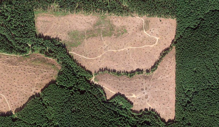 An aerial view of clear-cuts near the south fork of Gordon Creek, one of two water sources for Corbett, Oregon. CREDIT: Google Earth
