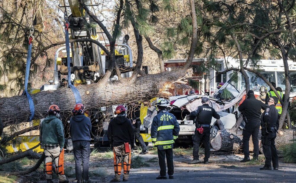 Crews remove a large ponderosa pine that fell on a vehicle, killing a woman during a windstorm Wednesday, Jan. 13, 2021 in Spokane, Wash. CREDIT: Colin Mulvany/The Spokesman-Review via AP