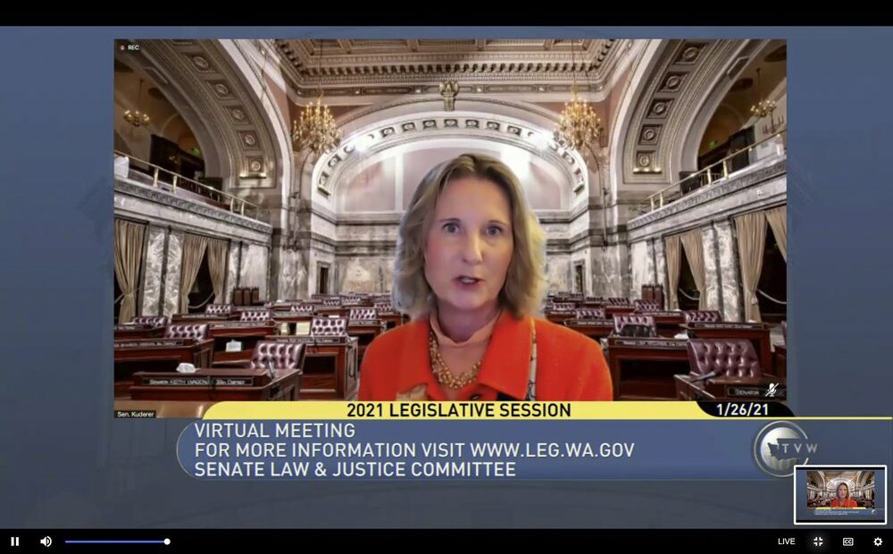 Washington Sen. Patty Kuderer, D-Bellevue, is shown against a virtual background as she speaks, Tuesday, Jan. 26, 2021, during a remote public hearing of the Senate Law & Justice Committee in Olympia, Wash. Kuderer is the sponsor of a measure that would ban the open carry of guns and other weapons on the Washington state Capitol campus and at or near any public demonstration across the state. CREDIT: TVW via AP