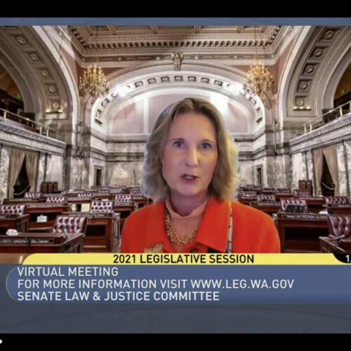 Washington Sen. Patty Kuderer, D-Bellevue, is shown against a virtual background as she speaks, Tuesday, Jan. 26, 2021, during a remote public hearing of the Senate Law & Justice Committee in Olympia, Wash. Kuderer is the sponsor of a measure that would ban the open carry of guns and other weapons on the Washington state Capitol campus and at or near any public demonstration across the state. CREDIT: TVW via AP