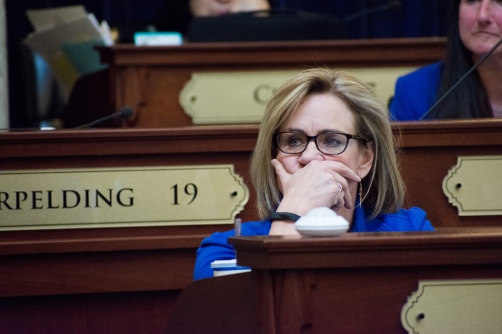 Idaho Democratic state Rep. Muffy Davis, seen here in 2019, and Democratic Rep. Sue Chew are suing Idaho's top House Republican. They contend he's preventing them from safely participating in the upcoming legislative session amid the pandemic. CREDIT: James Dawson/Boise State Public Radio