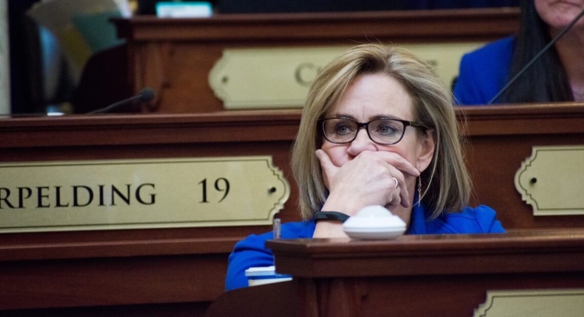 Idaho Democratic state Rep. Muffy Davis, seen here in 2019, and Democratic Rep. Sue Chew are suing Idaho's top House Republican. They contend he's preventing them from safely participating in the upcoming legislative session amid the pandemic. CREDIT: James Dawson/Boise State Public Radio