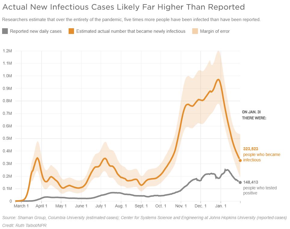 Source: Shaman Group, Columbia University (estimated cases); Center for Systems Science and Engineering at Johns Hopkins University (reported cases) Credit: Ruth Talbot/NPR