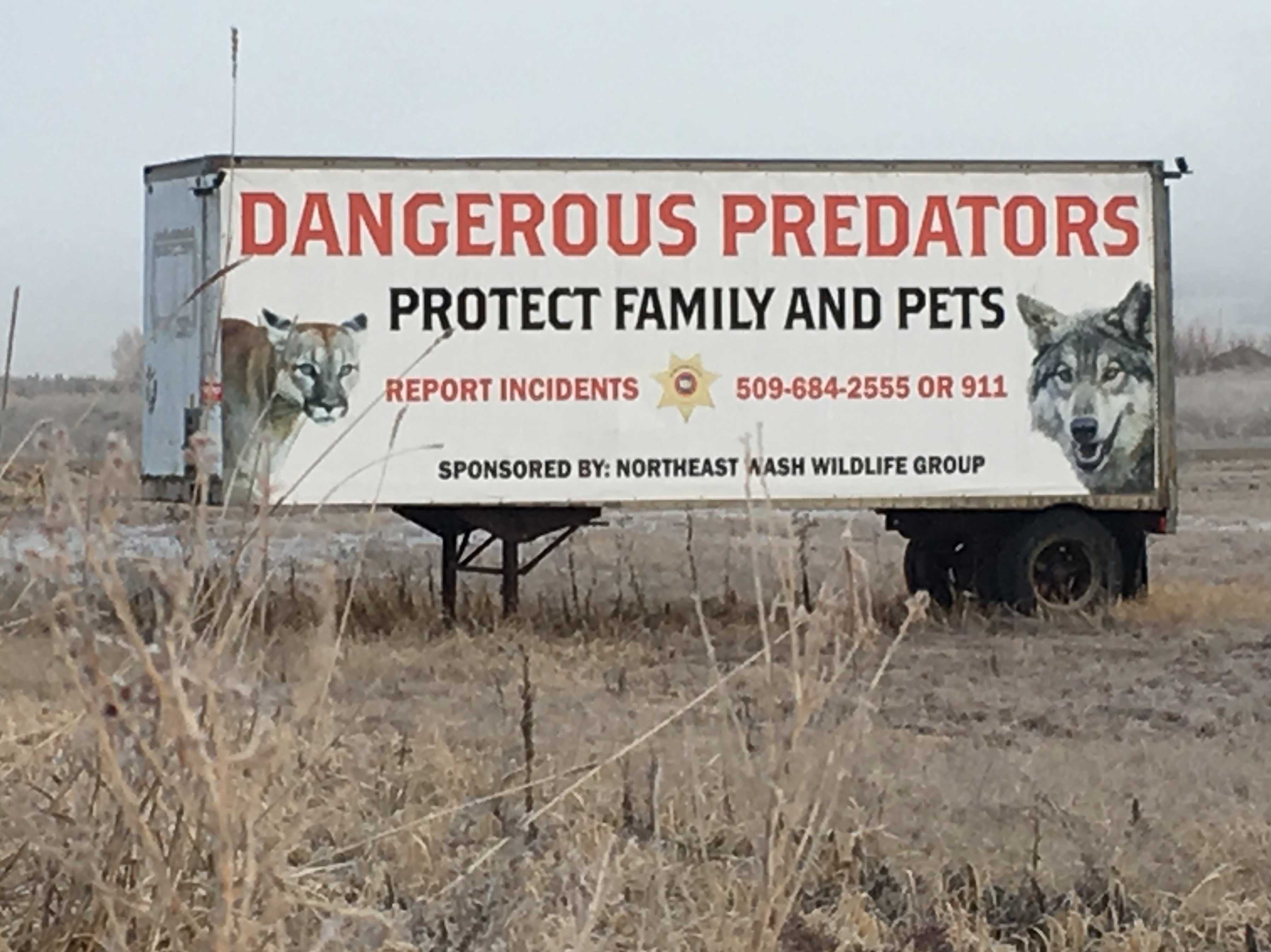 A sign on the side of trailer in Stevens County, Washington, near Chewelah off U.S. Highway 395 prompts people to report "dangerous wildlife" like cougars and wolves. CREDIT: Scott Leadingham/NWPB