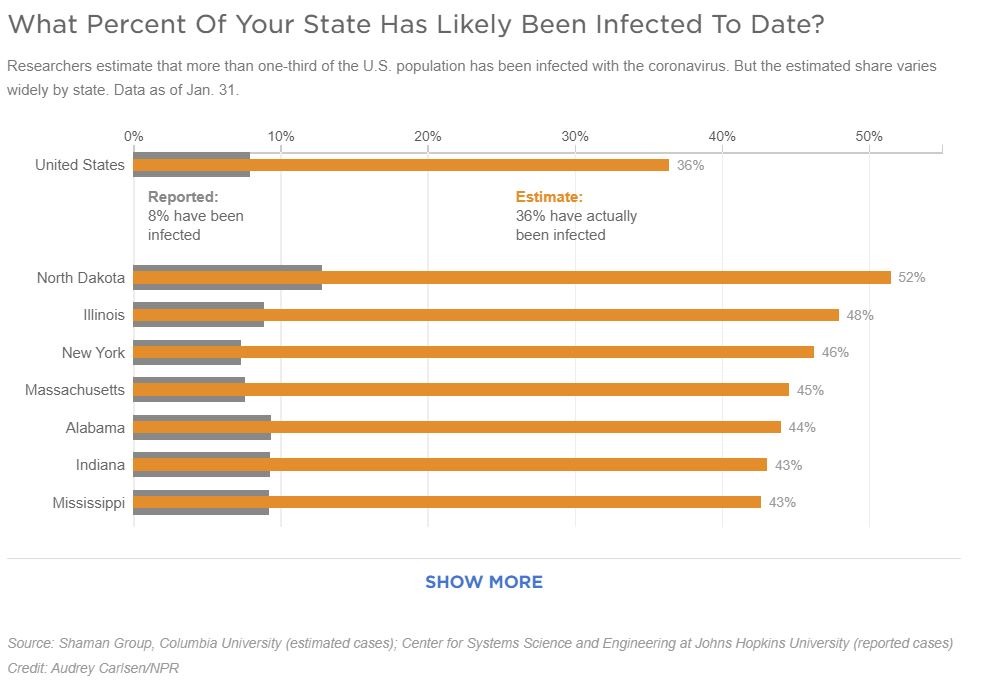 Graphic showing likely percentage of states' population already infected with COVID019