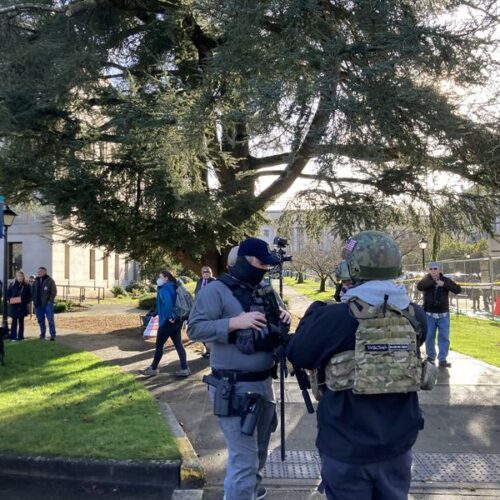 public demonstration at Washington state capitol - person open carrying rifle and handgun