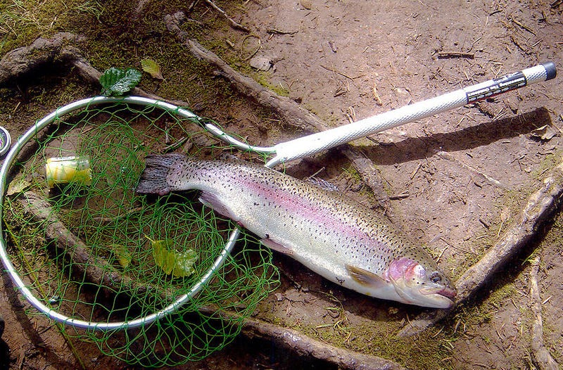 Fishing and hunting license sales jumped in 2020 as people took to the woods and water due to the pandemic. CREDIT: Bureau of Land Management - TINYURL.COM/Y9GLWUYQ